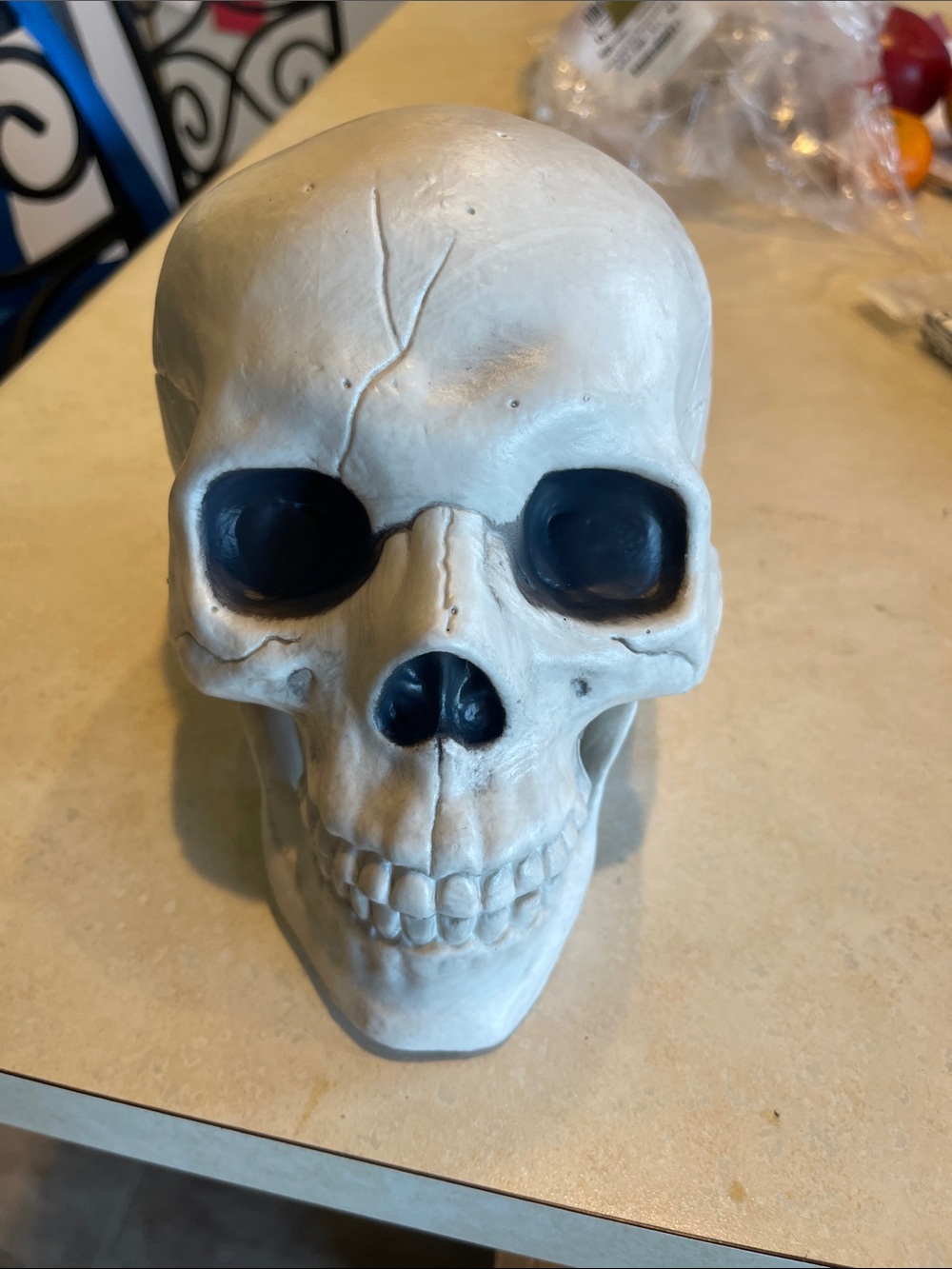 Plastic Skull
